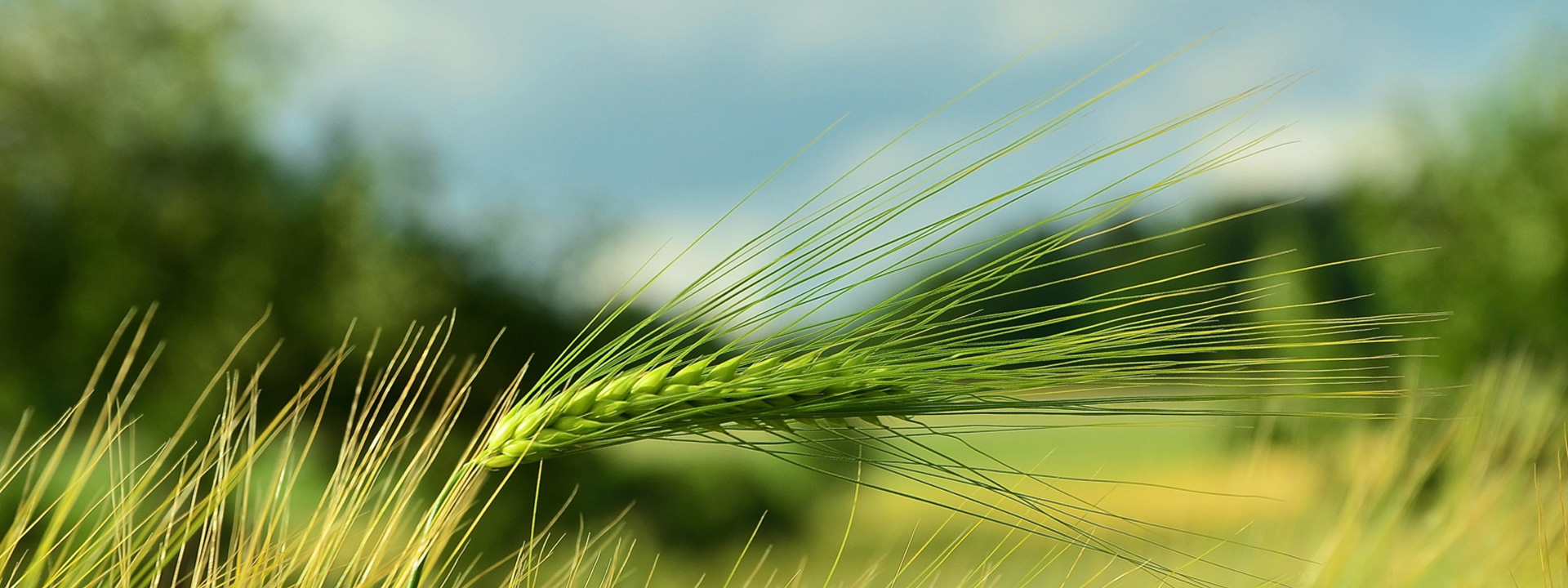 首頁(yè)頂部輪播圖2